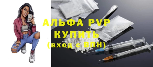 ECSTASY Костерёво