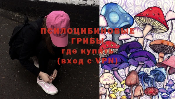 ALPHA-PVP Кинешма