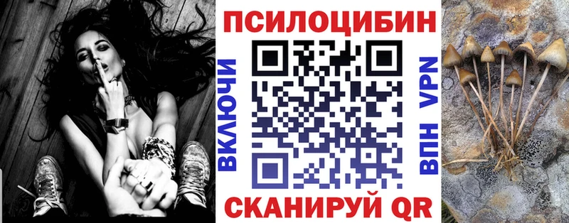Псилоцибиновые грибы мицелий  магазин  наркотиков  Называевск 