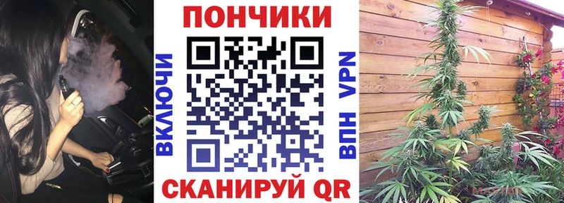 Канабис план  Называевск 